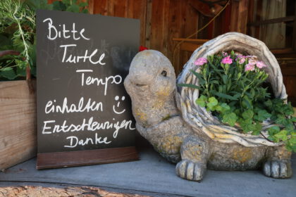 Entschleunigen, Tempo loslassen